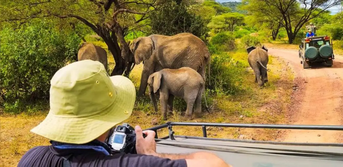 Things to Do in Kenya: Kenya Attractions